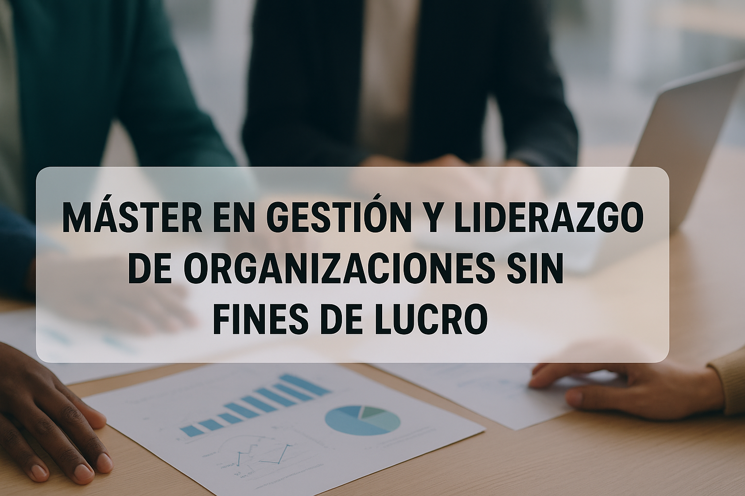 Máster en Gestión y Liderazgo de Organizaciones Sin Fines de Lucro